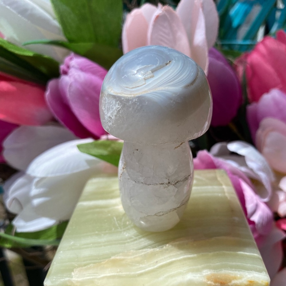 Blue Banded Agate & Quartz Mushroom